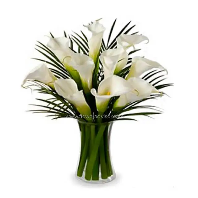 10 Stunning Calla Lilies