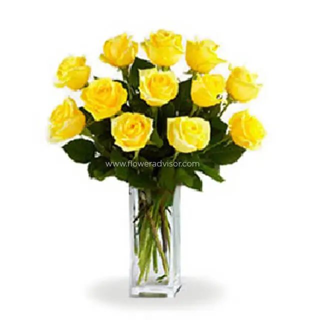 12 Long Stemmed Yellow Roses