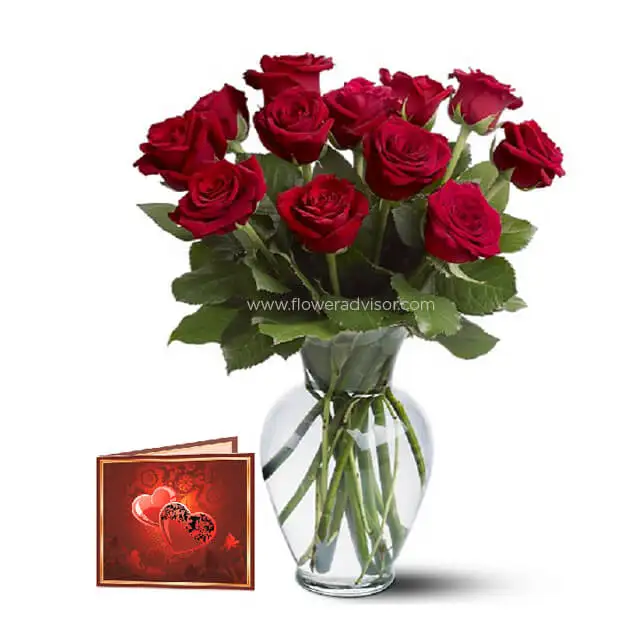 One Dozen Long Stem Red Roses
