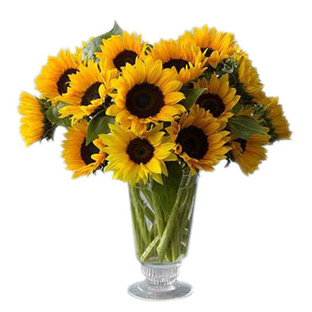Brighten Your Day