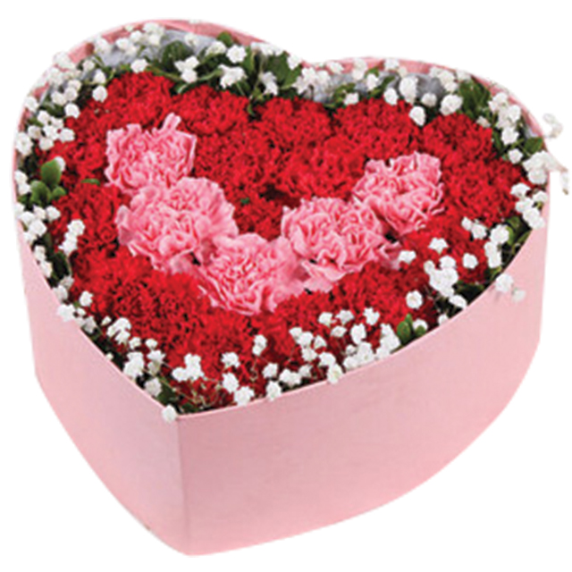 Double Love Carnation