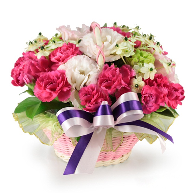 Thanks Giving Declaration