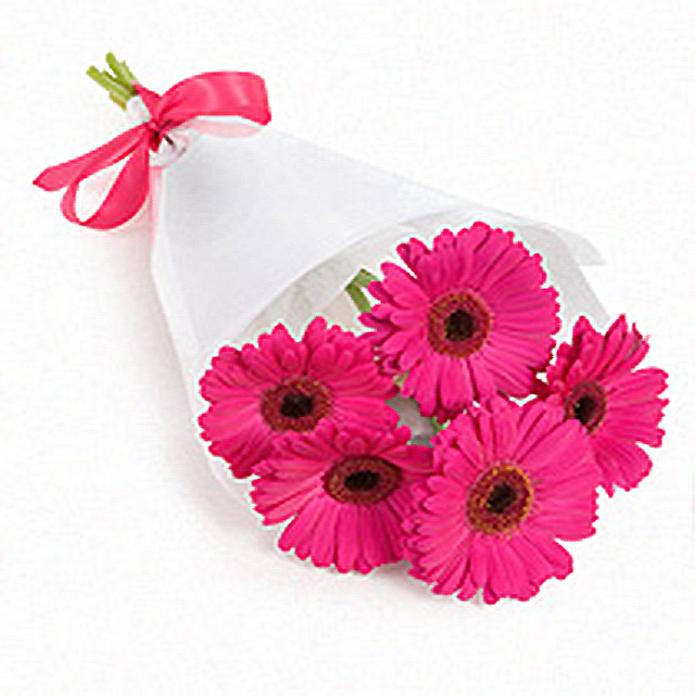 Cute Gerberas Bouquet
