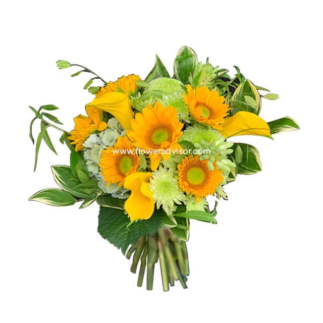 Sunflower Magnificent