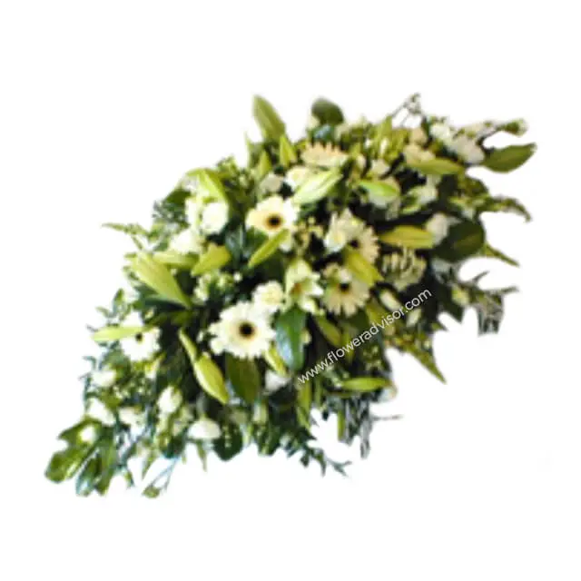 product-details