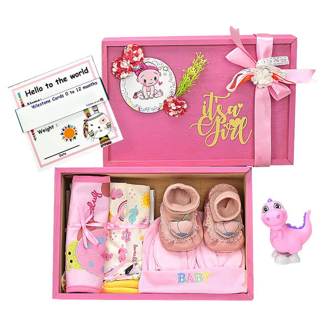 Pink Blush Newborn Hamper