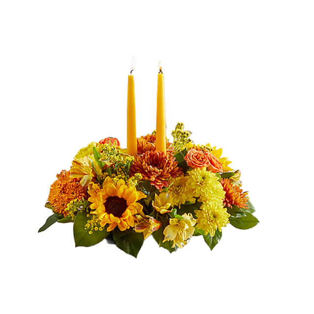 Golden Gathering Bundle