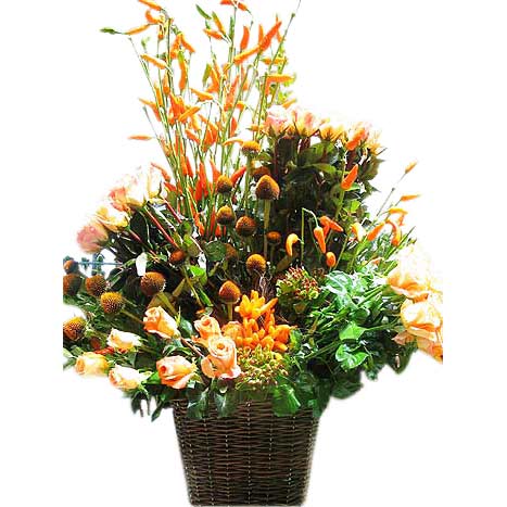 Congratulatory Confection