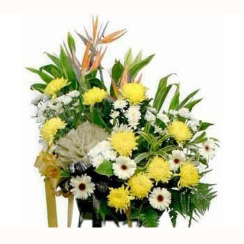 Curvy Comforts Flowers