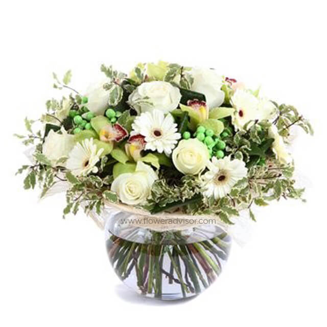 Sweet Seduction White