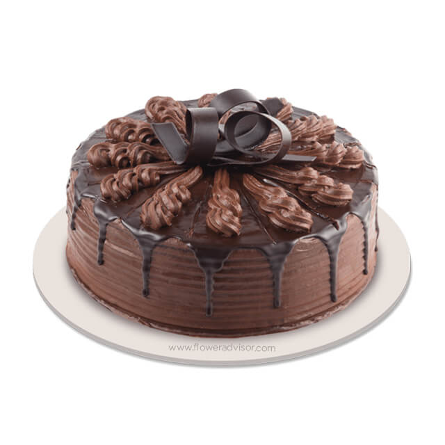 Choco Indulgence