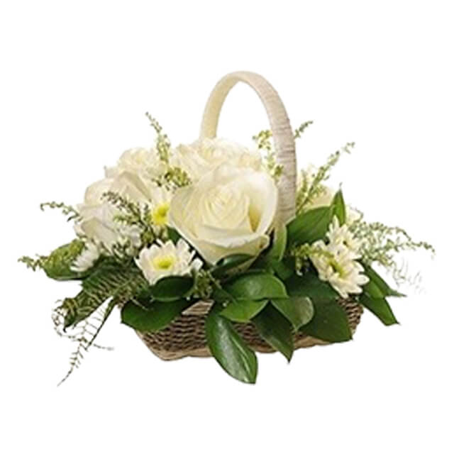 product-details