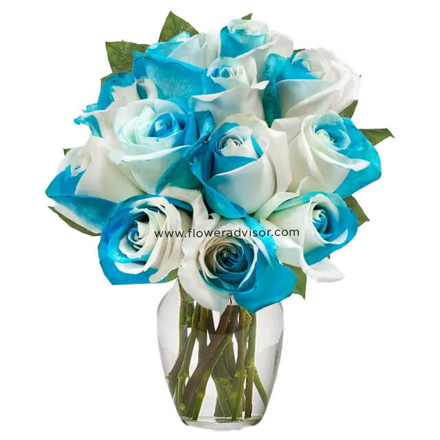 One Dozen Sea Foam Roses