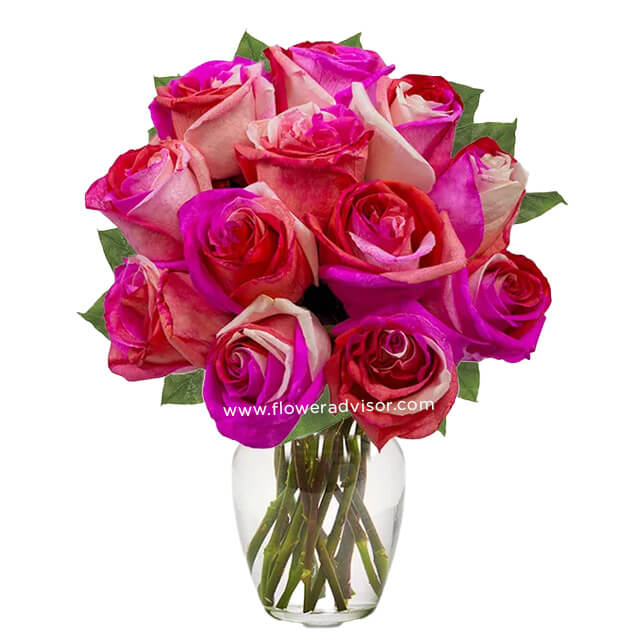 One Dozen Wild Pink Roses