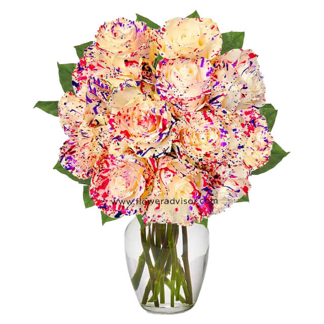 One Dozen Wild Confetti Roses