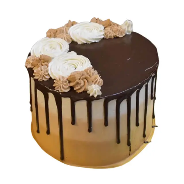 Tiramisu Cake with Chocolate Drizzle