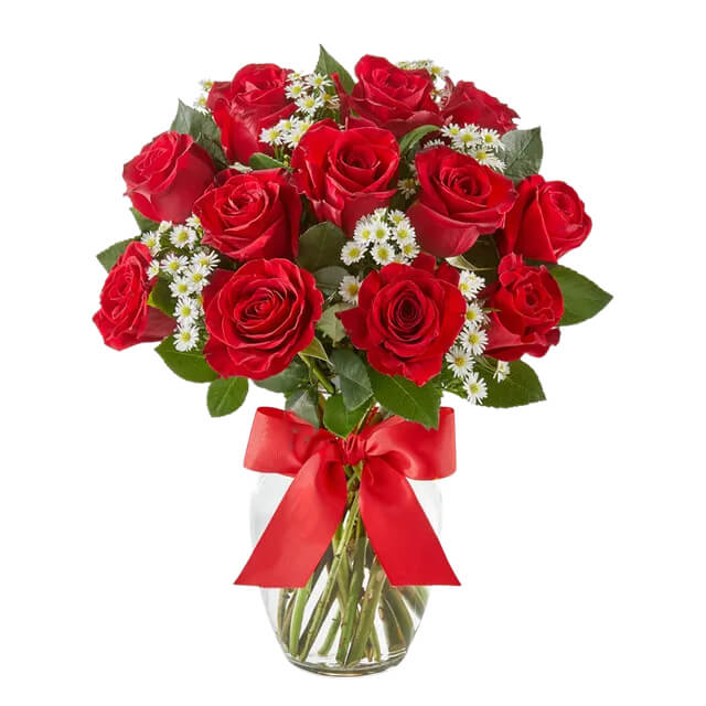 Luxury Red Roses - One Dozen