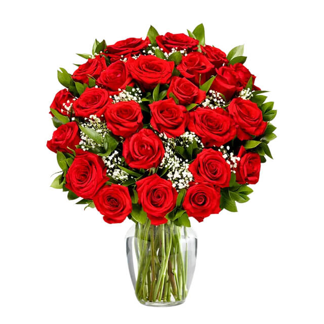 Two Dozen Long Stemmed Red Roses