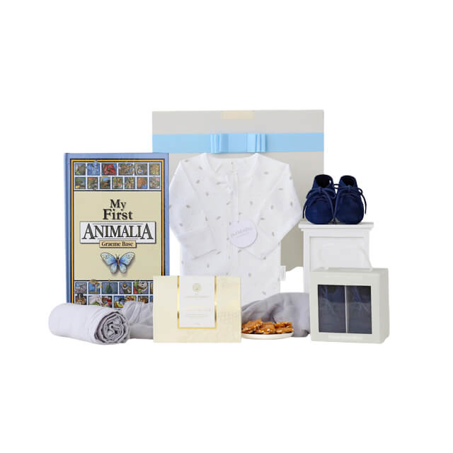 Babys First Shoes Hamper in Navy