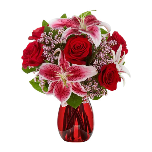 Stunning Beauty Roses