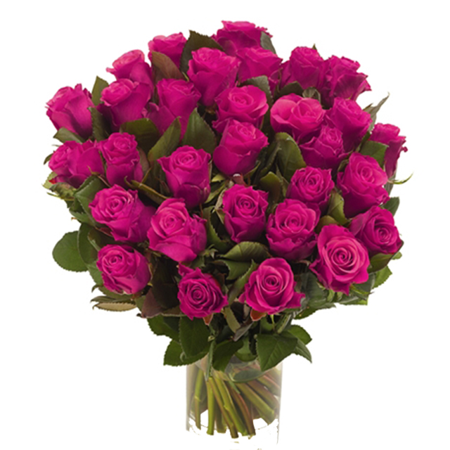 Pink Roses in a Bouquet