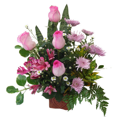 Admirable Aspiration