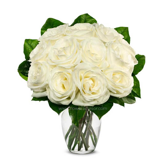 One Dozen White Roses