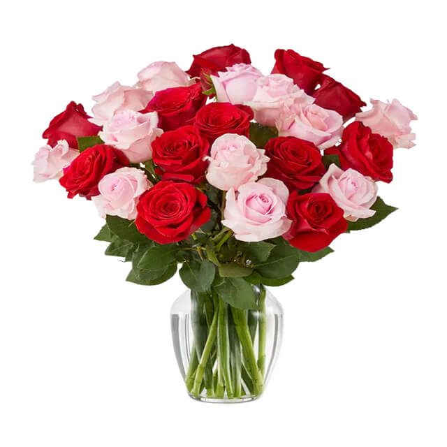 Two Dozen Red & Pink Roses