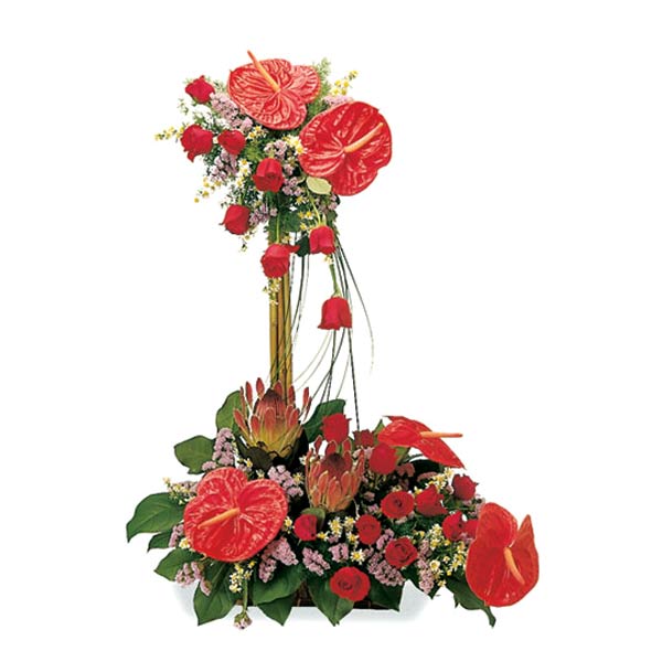 Ravishing Red Celebration