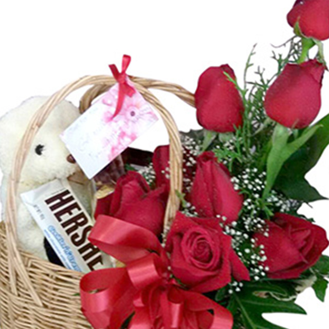 Chocolate Indulgence Collection