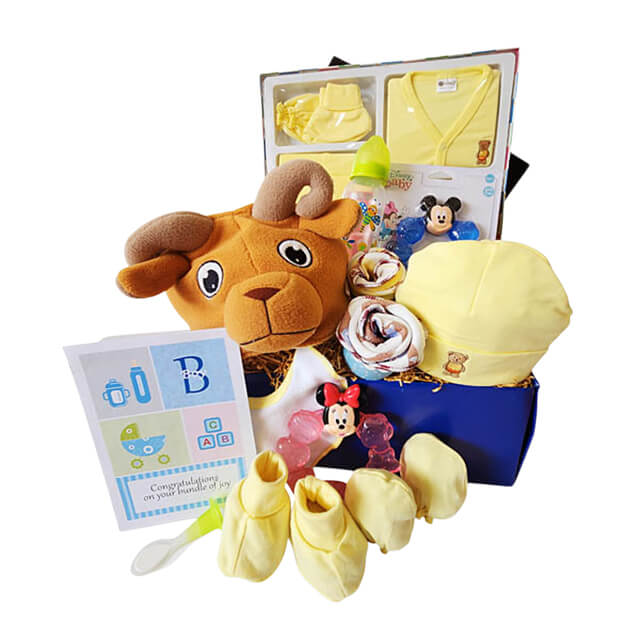Beary - Newborn Baby Gift Hamper