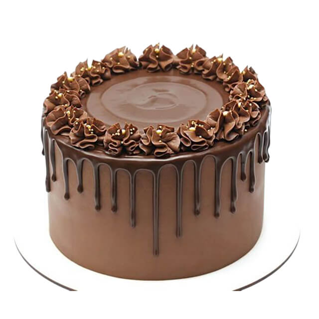 Intense Chocolate Fudge Cake