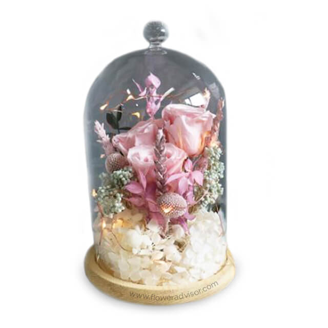 product-details