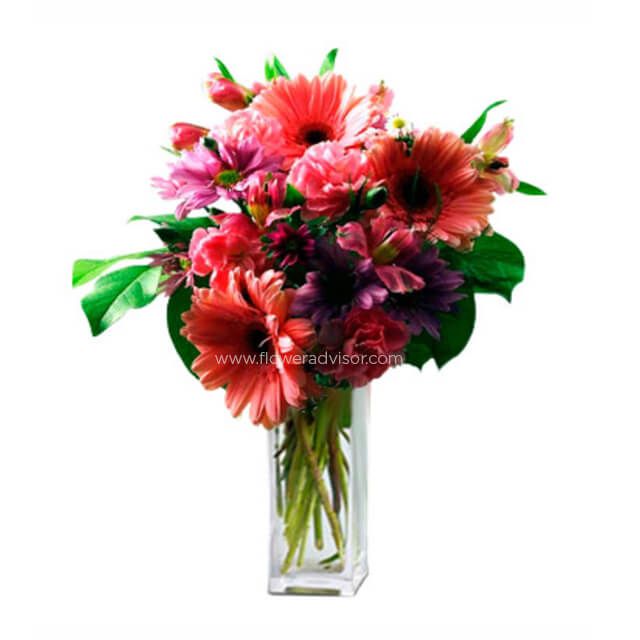 Shades of Pink I