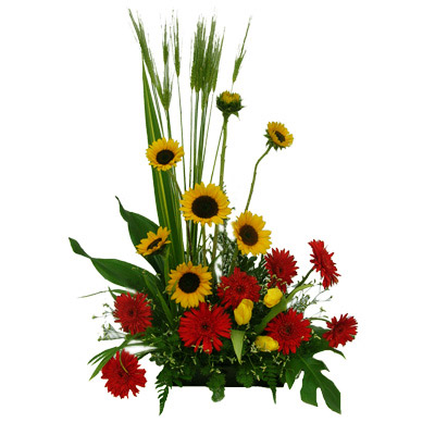 Terrific Masterpiece