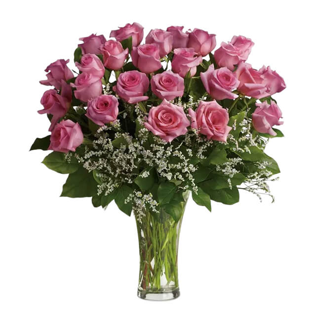 Glorious Pink Roses - Two Dozen