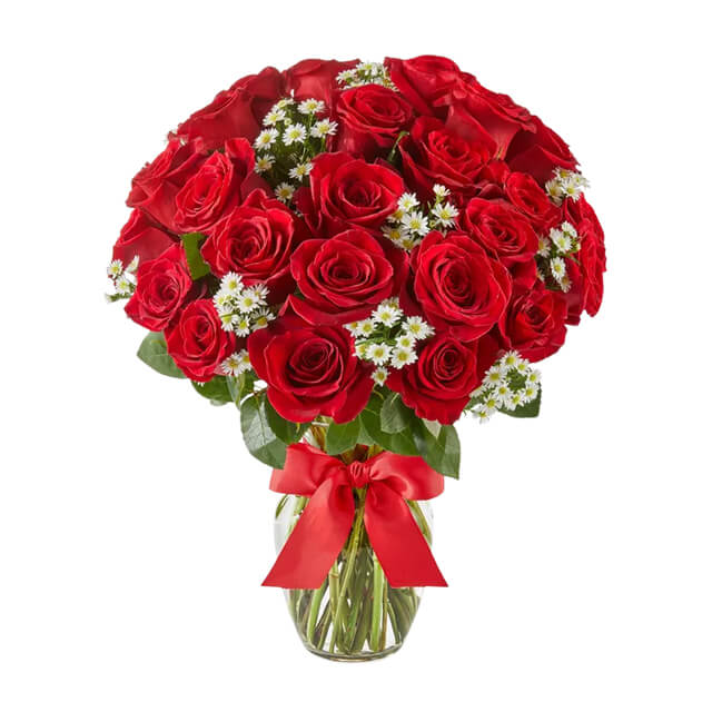 Luxury Red Roses - Two Dozen