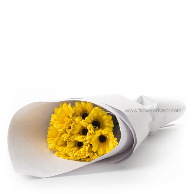 Yellow Daisy Gerberas